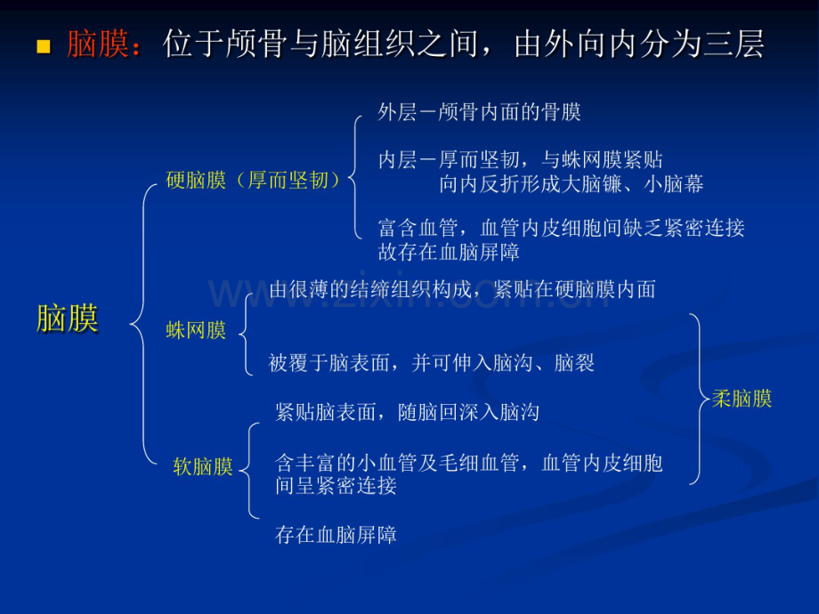 脑膜病变的影像学诊断与鉴别诊断.pdf_第3页