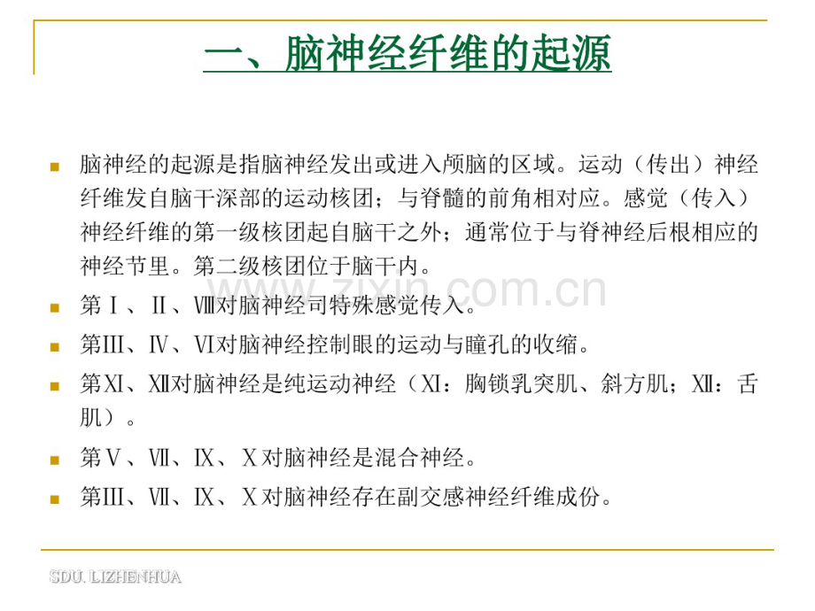 脑神经解剖-(2).pdf_第3页