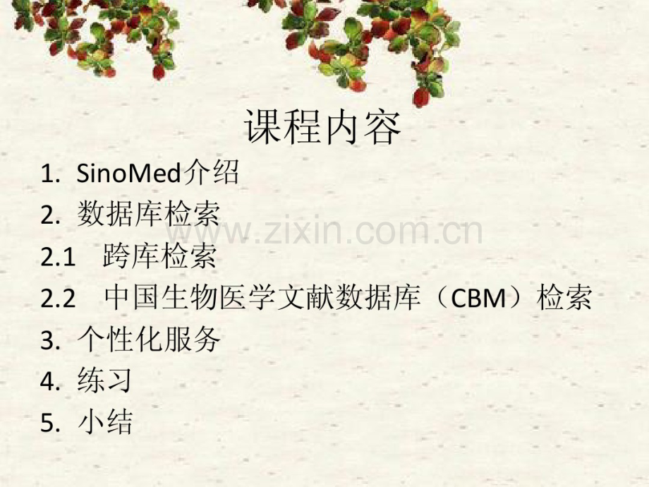 sinomed(CBM)教程-(2).pdf_第2页