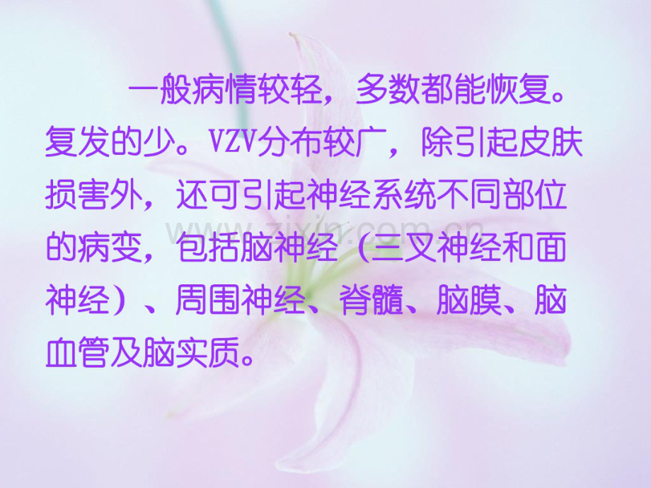 水痘带状疱疹病毒性脑炎.pdf_第3页