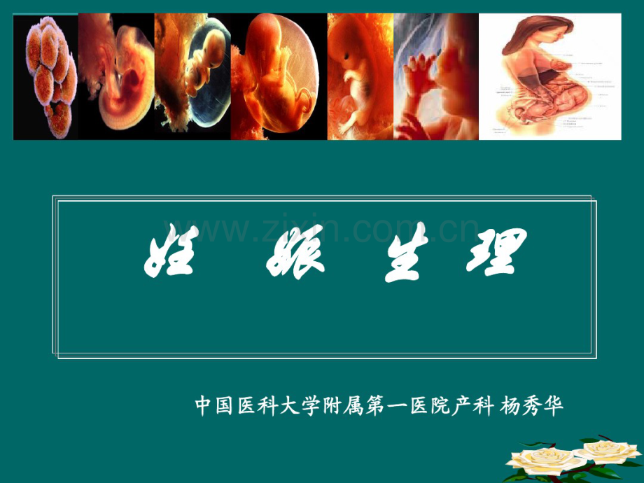 妊娠生理-(2).pdf_第1页