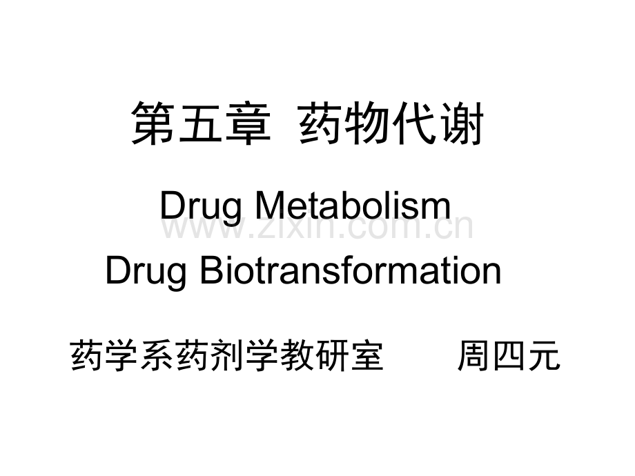 2010药物代谢20101123.ppt_第1页