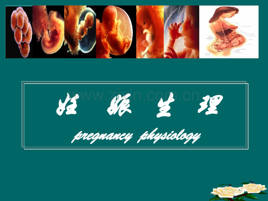 妊娠生理(7版).pdf_第1页