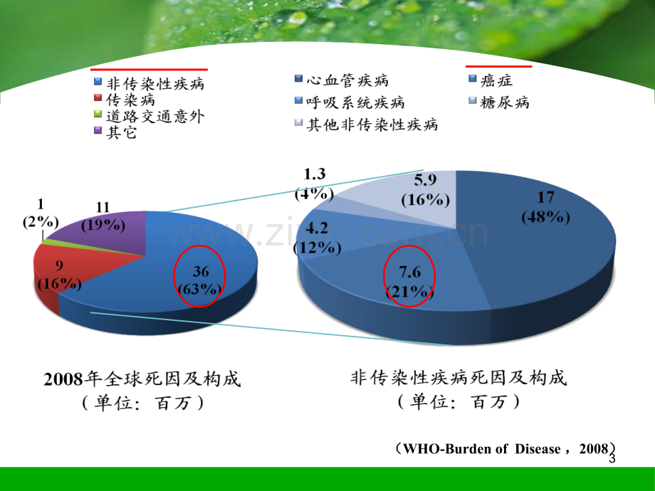 17章-慢性非传染性疾病流行病学.ppt_第3页