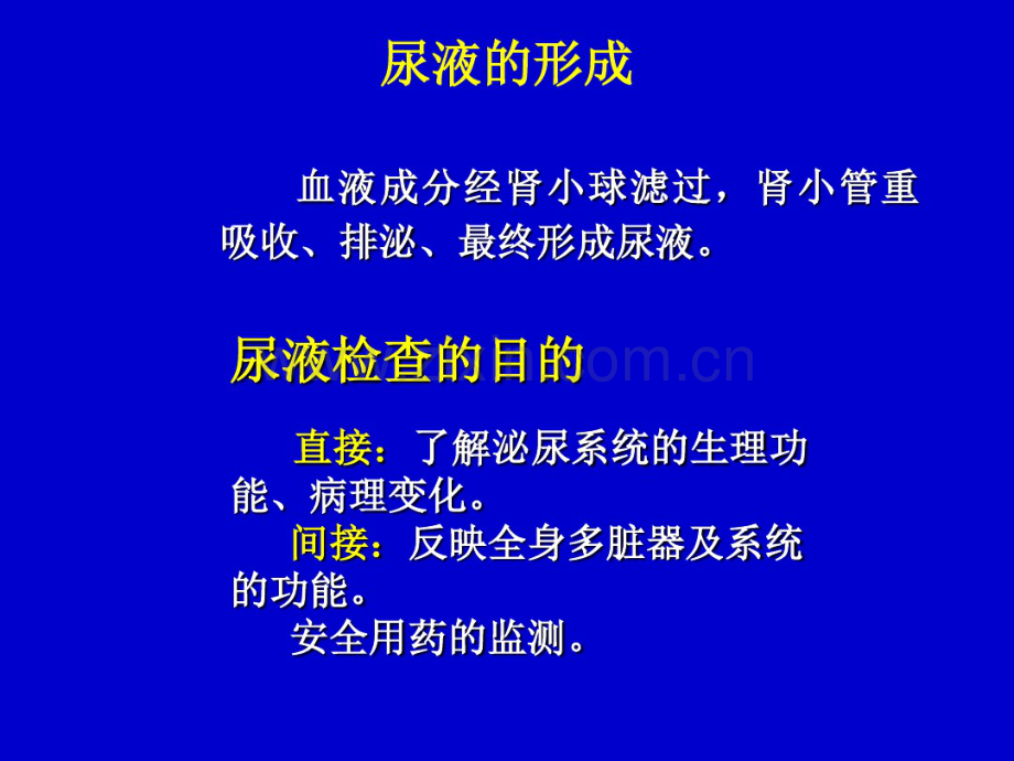 尿液肾功检查大全.pdf_第2页