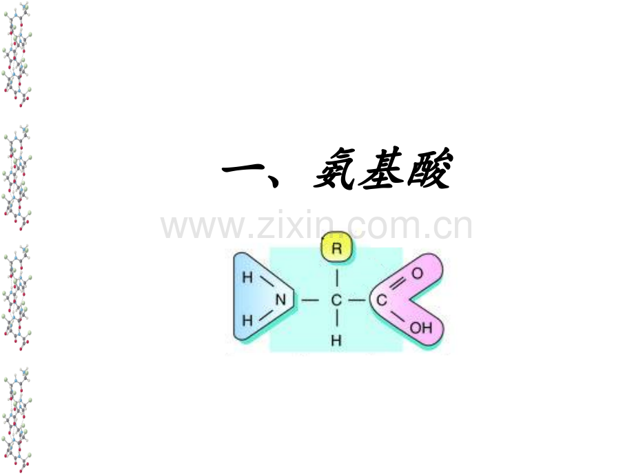 生物化学--杨荣武教授.ppt_第2页