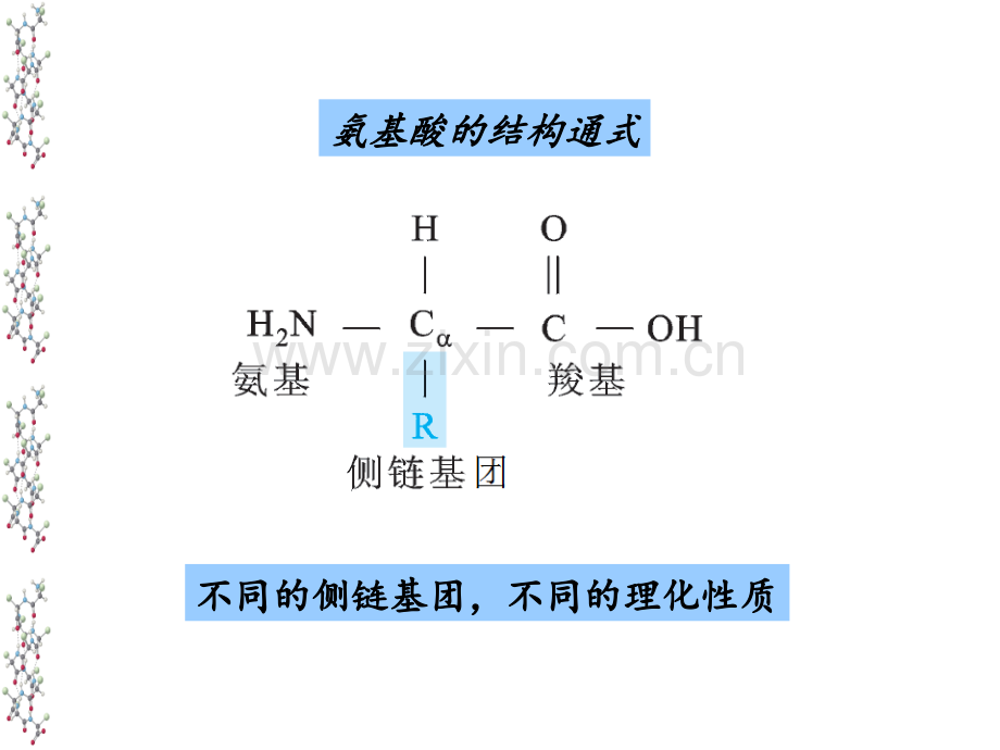 生物化学--杨荣武教授.ppt_第3页