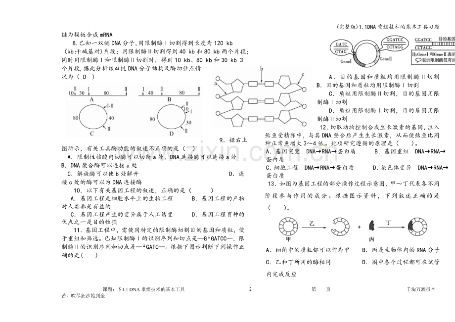 1.1DNA重组技术的基本工具习题.doc_第2页