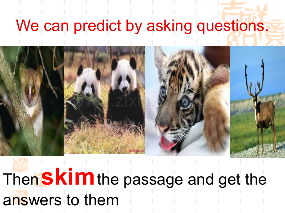 人教版高中英语必修二第四单元-Unit-4-Book-2--Wildlife-Protection-reading.ppt_第3页