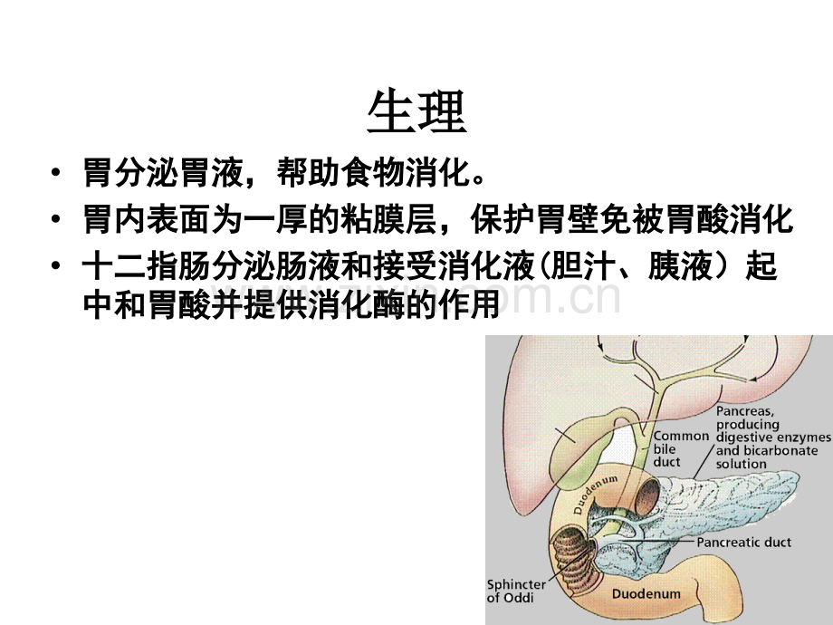 胃十二指肠外科疾病(ppt文档).ppt_第3页