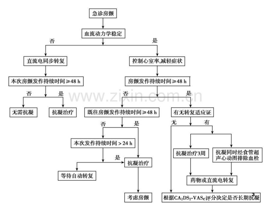 房颤的急诊处理要点.ppt_第3页