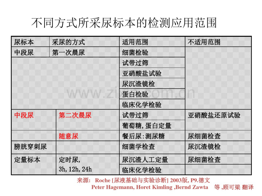 尿液分析.pdf_第3页