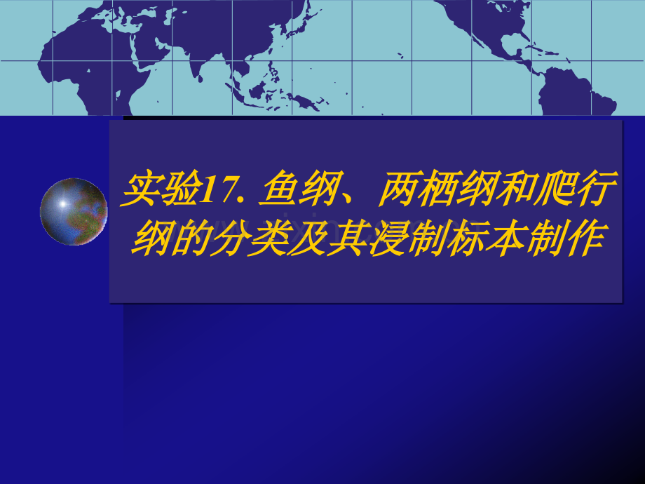 实验17-鱼纲、两栖纲和爬行纲的分类及其浸制标本制作.ppt_第1页