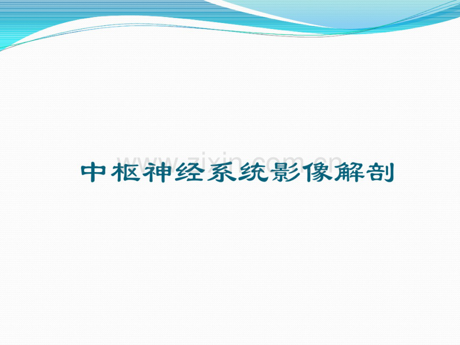 脊柱及中枢神经系统影像解剖.pdf_第2页