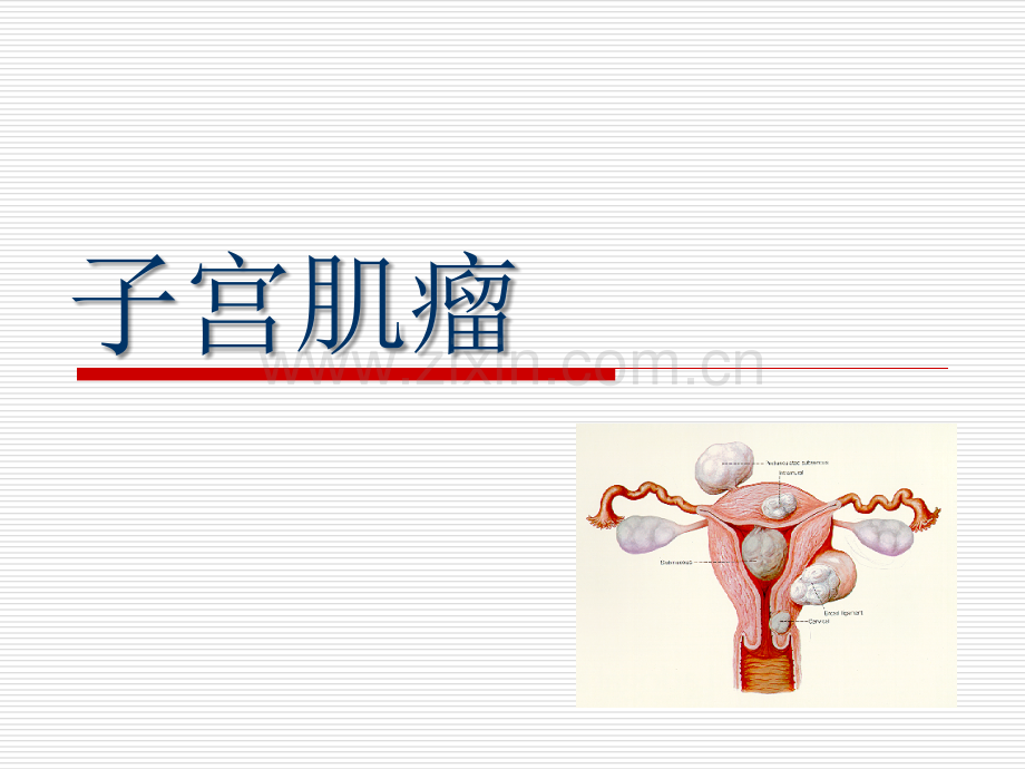 达菲林——-首创的GnRH类似物---汕头大学医学院第一附属.ppt_第1页