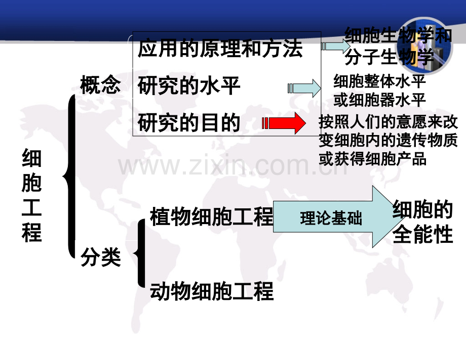 植物细胞工程.ppt_第3页