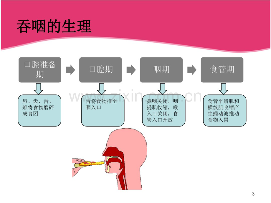 吞咽障碍课件.pdf_第3页