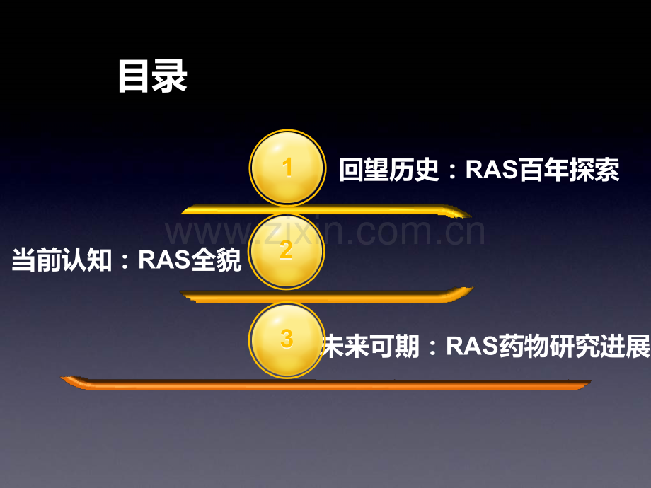 RAS系统简介.ppt_第2页