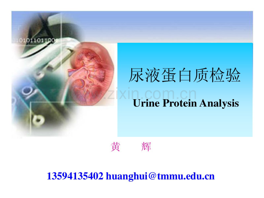 尿液蛋白质检验一.pdf_第2页