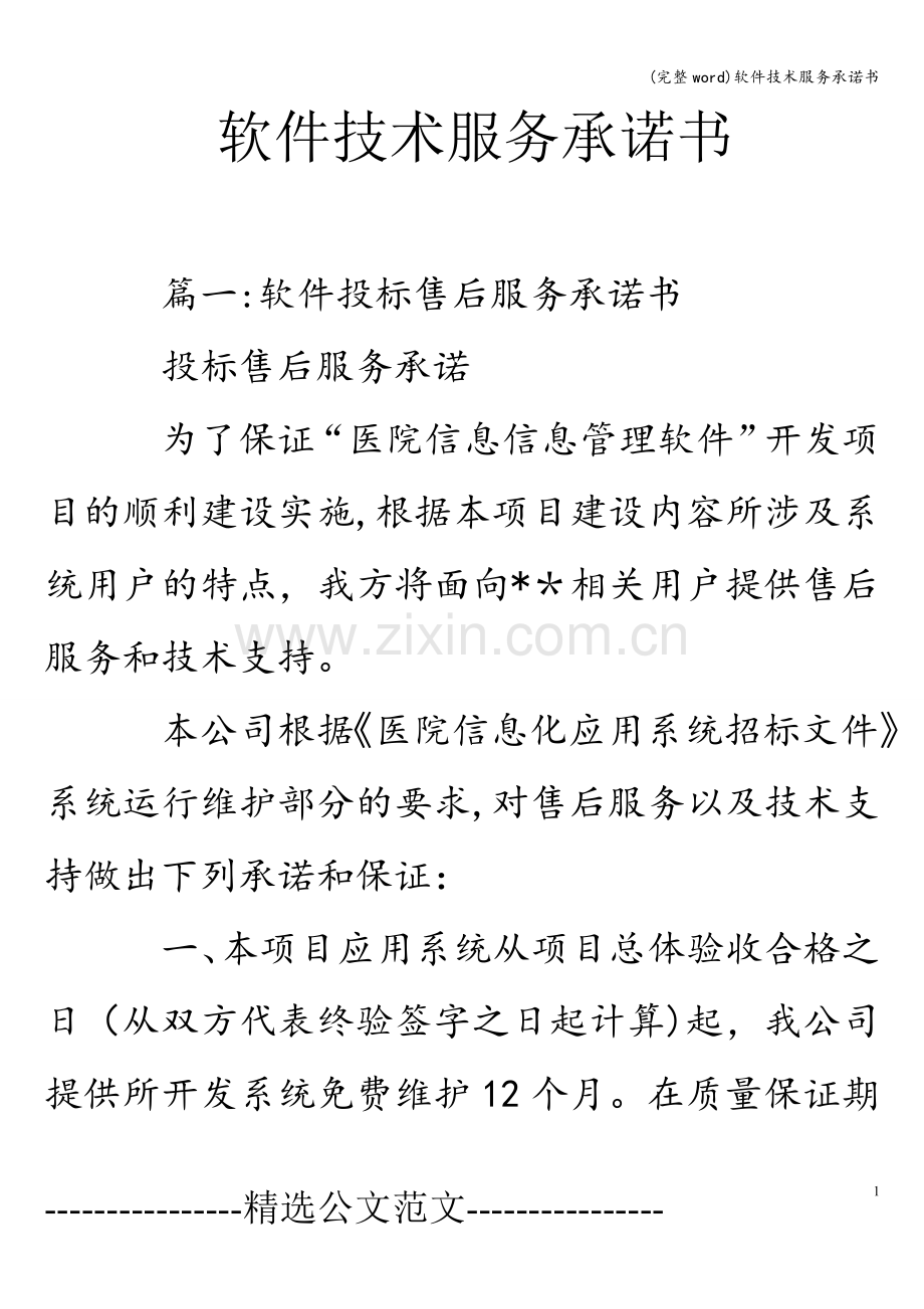 软件技术服务承诺书.doc_第1页