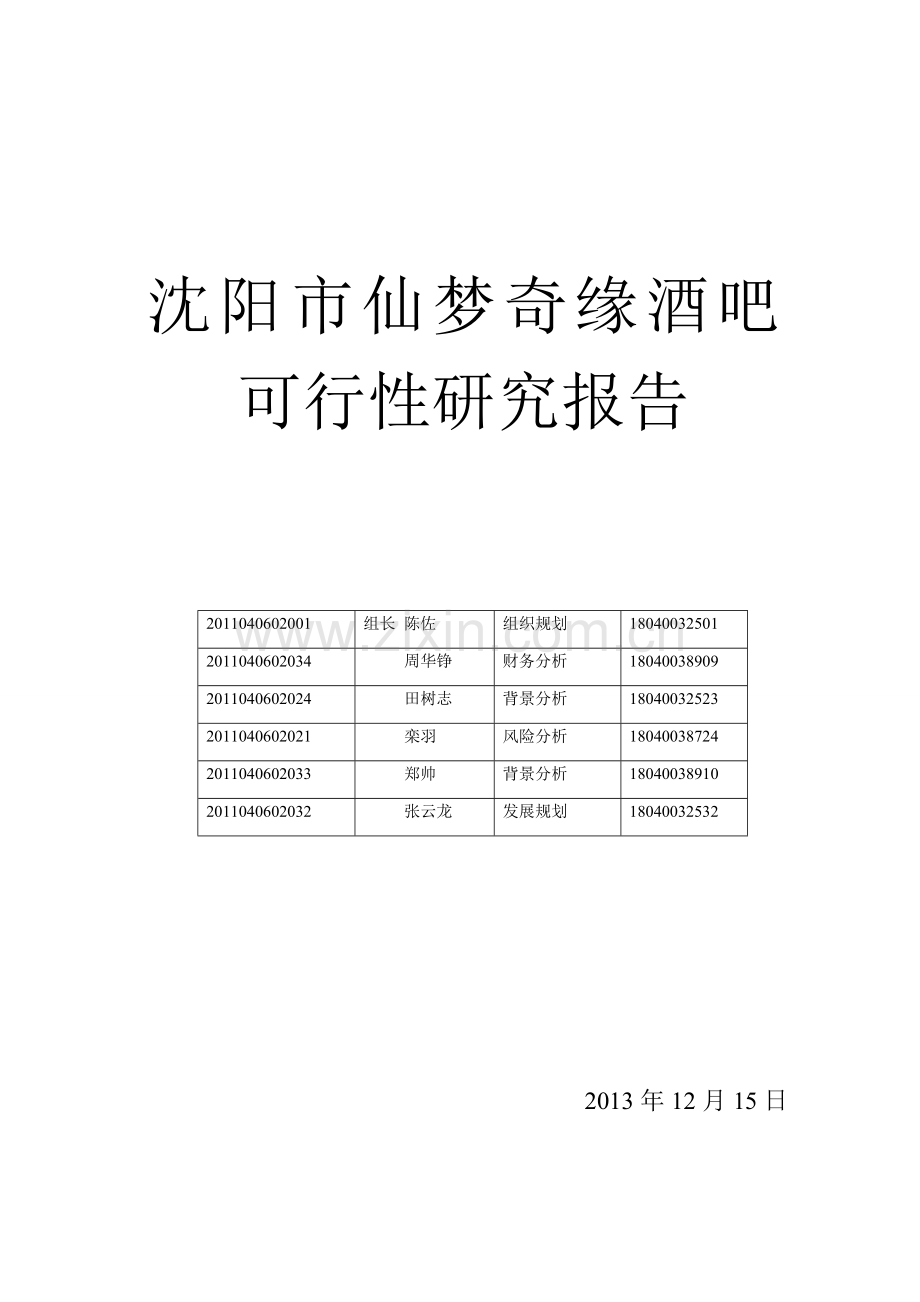 仙梦奇缘酒吧项目可行性研究报告.doc_第1页