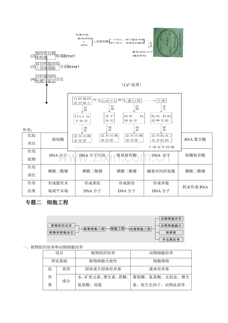 高中生物教材选修三知识点.doc_第2页