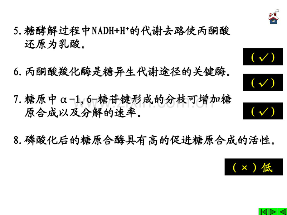 习题课糖代谢.pdf_第3页