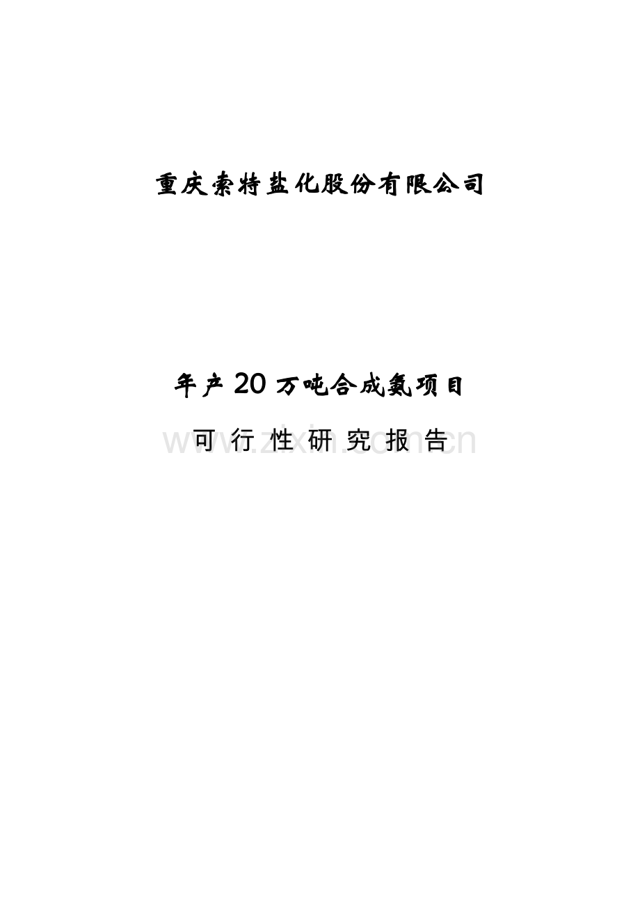 20万吨合成氨扩建项目可行性研究报告.doc_第1页