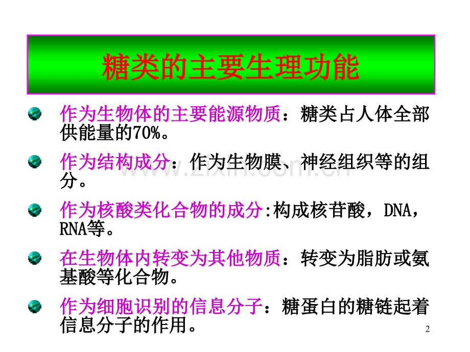 1第10章-糖类代谢-2010.ppt_第2页