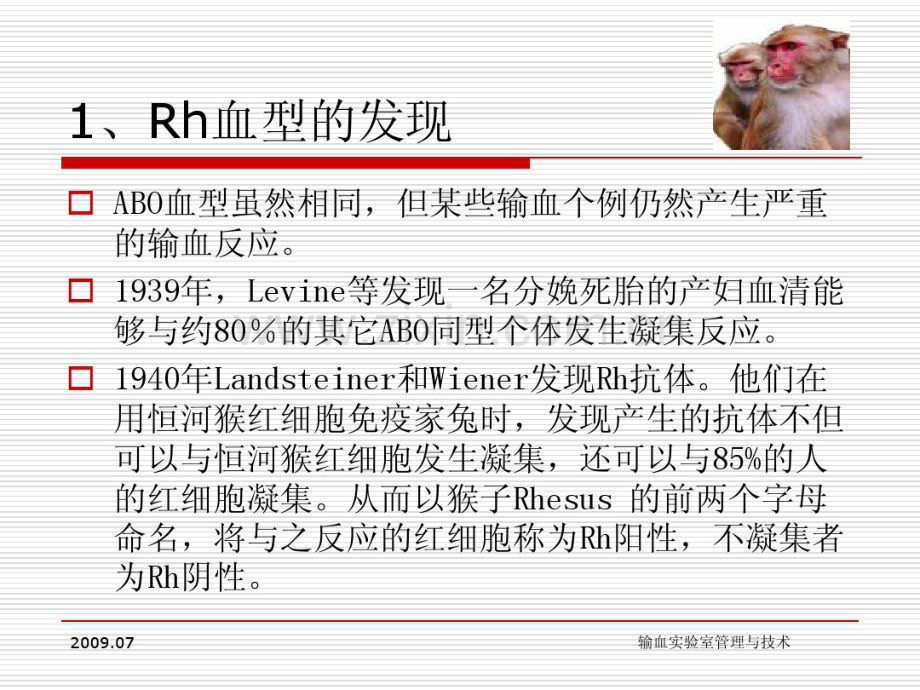 Rh血型系统.pdf_第2页