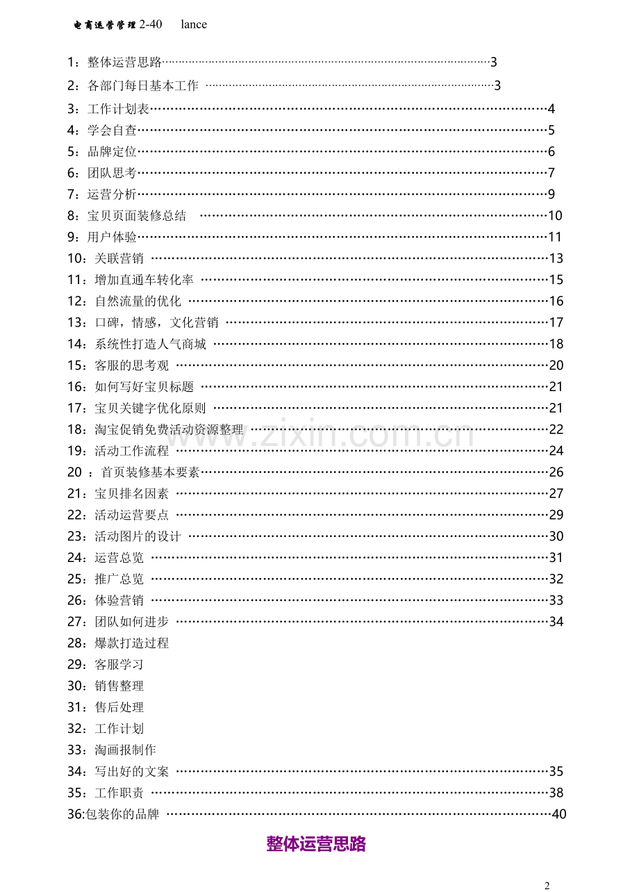 手册-电商运营管理手册.doc_第2页