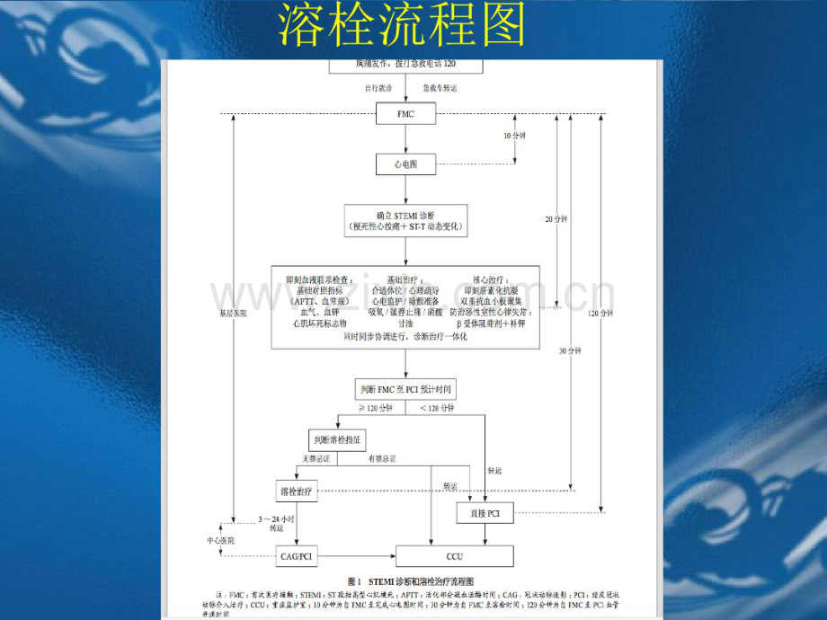 STEMI溶栓标准规程.pdf_第3页