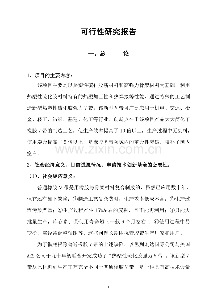 热塑性硫化胶强力V带项目可研报告.doc_第2页