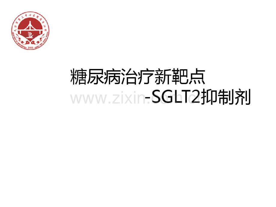 SGLT2类降糖药物.pdf_第1页