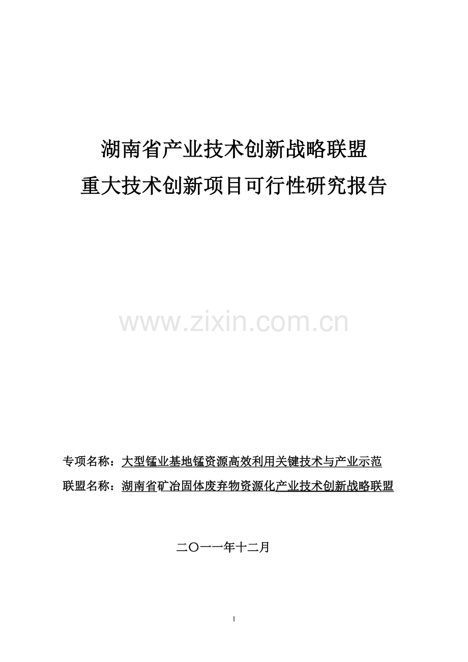 大型锰业基地锰资源高效利用关键技术与产业示范建设投资可行性分析研究报告.doc_第1页