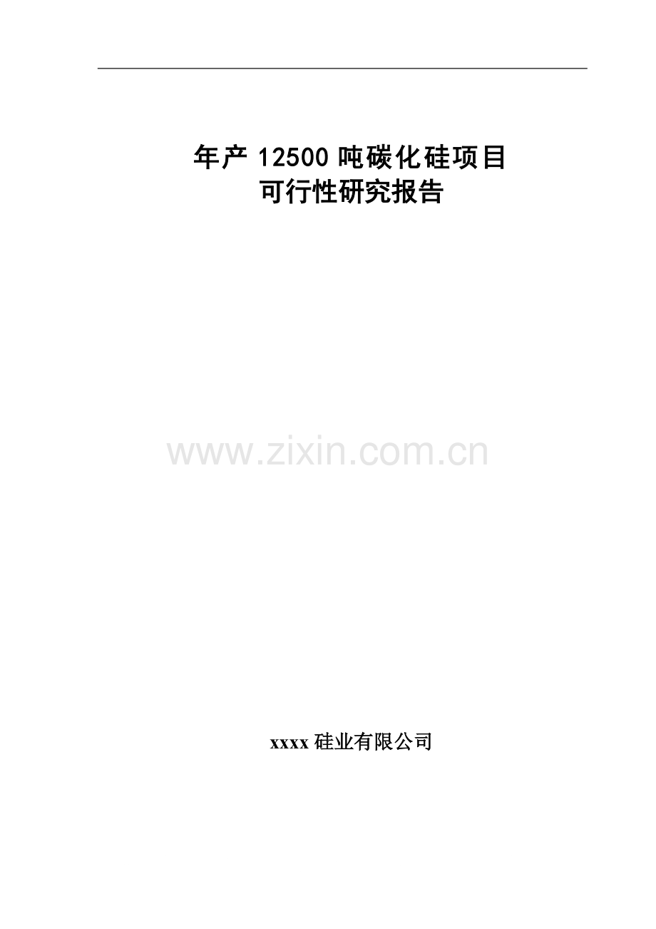 年产12500吨碳化硅项目可行性研究报告书.doc_第1页