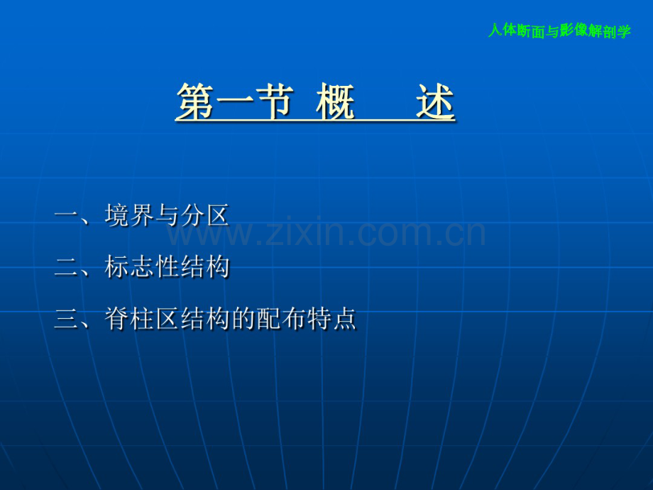 脊柱断层影像解剖学.pdf_第3页