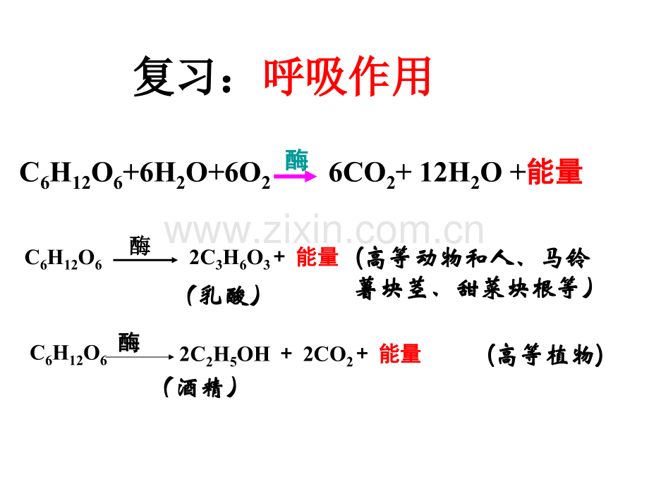 光合作用复习课件(严重整理).ppt_第2页