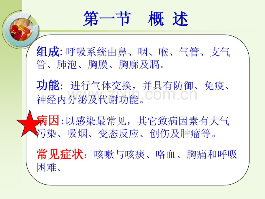 呼吸系统疾病病人的护理.pdf_第2页