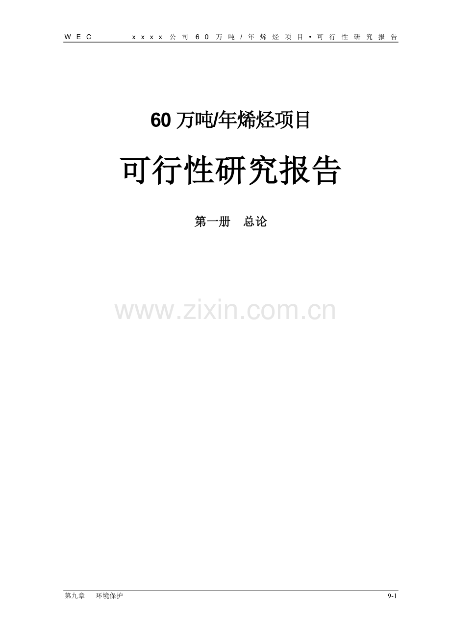 年产60万吨烯烃项目可行性研究报告正文.doc_第1页