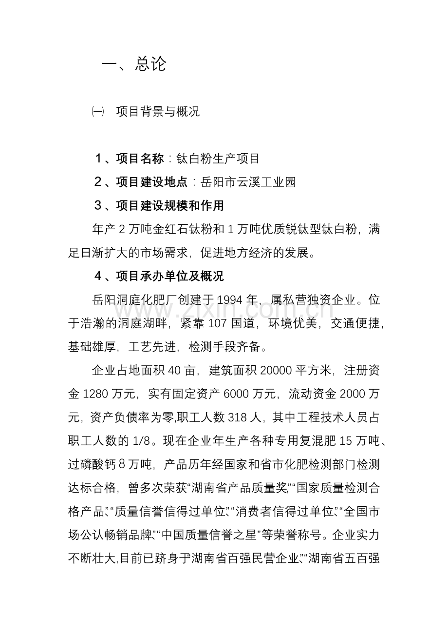 某公司钛白粉项目建设可行性研究论证报告.doc_第1页