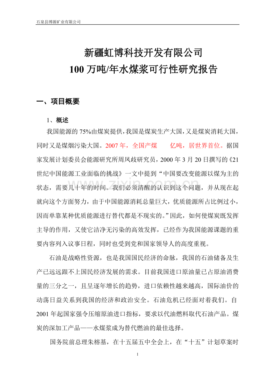 年产10万吨水浆煤项目可行性研究报告.doc_第1页