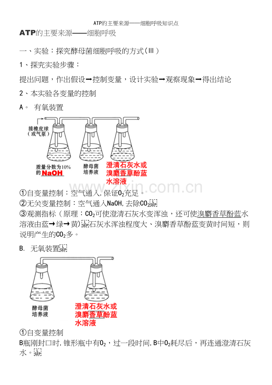 ATP的主要来源——细胞呼吸知识点.docx_第2页