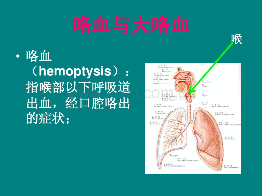 咯血的诊断与鉴别诊断-曹.pdf_第3页