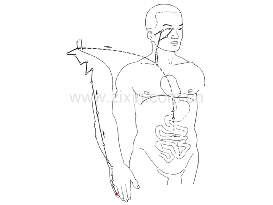 手太阳小肠经.pdf_第2页