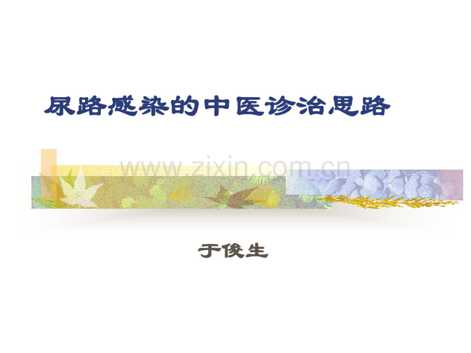 尿路感染的中医诊治思路[2010].pdf_第1页