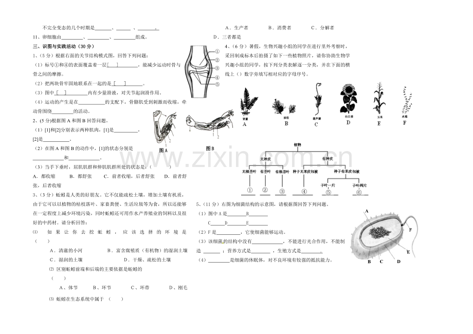 人教版八年级上册生物期末考试卷带答案.doc_第2页