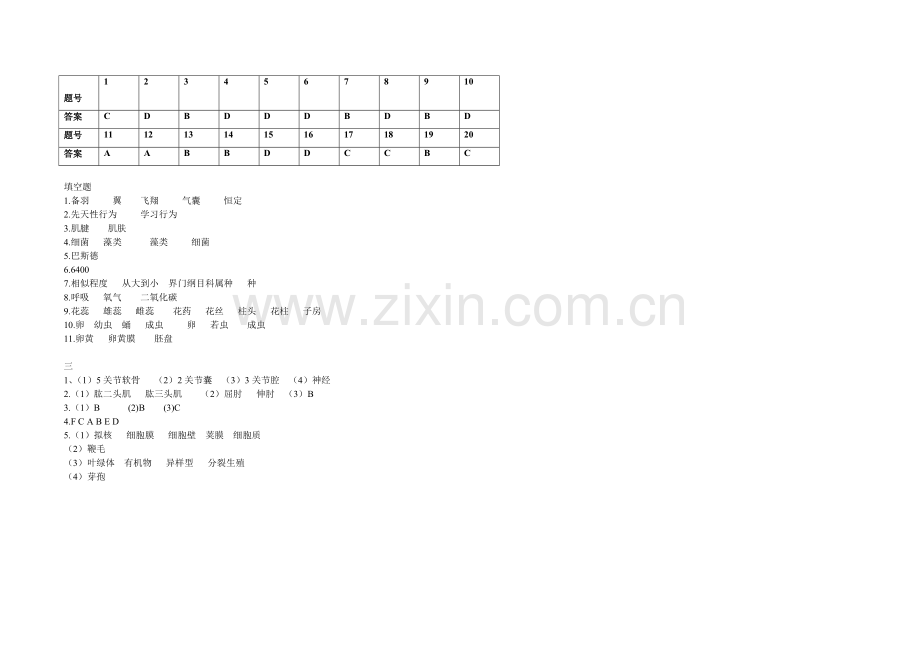 人教版八年级上册生物期末考试卷带答案.doc_第3页