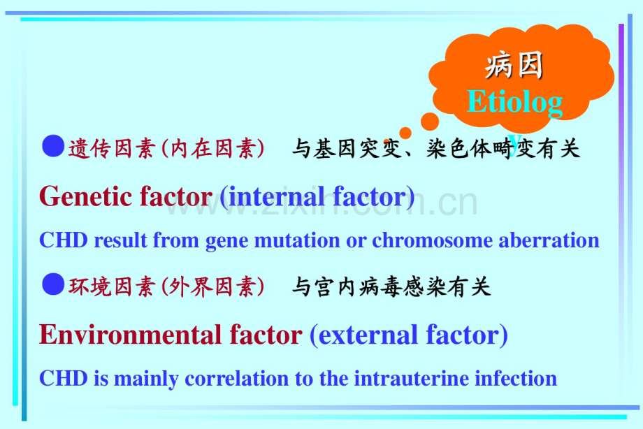 先天性心脏病-(2).pdf_第3页