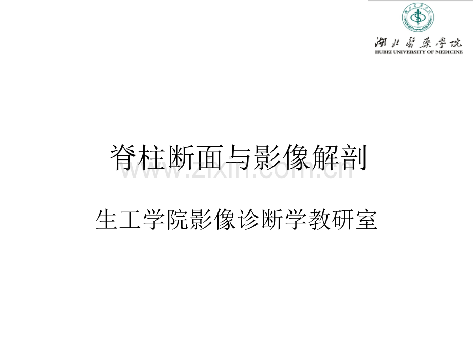 脊柱断面解剖学.ppt_第1页